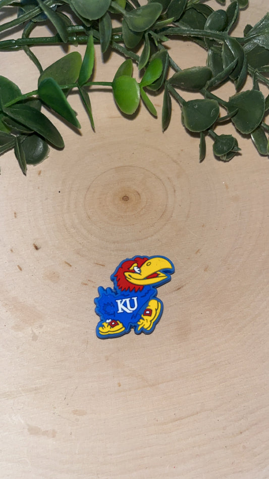 COLLEGE KANSAS JAYHAWKS FOCAL