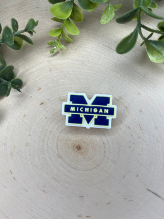 COLLEGE MICHIGAN STATE TEAM