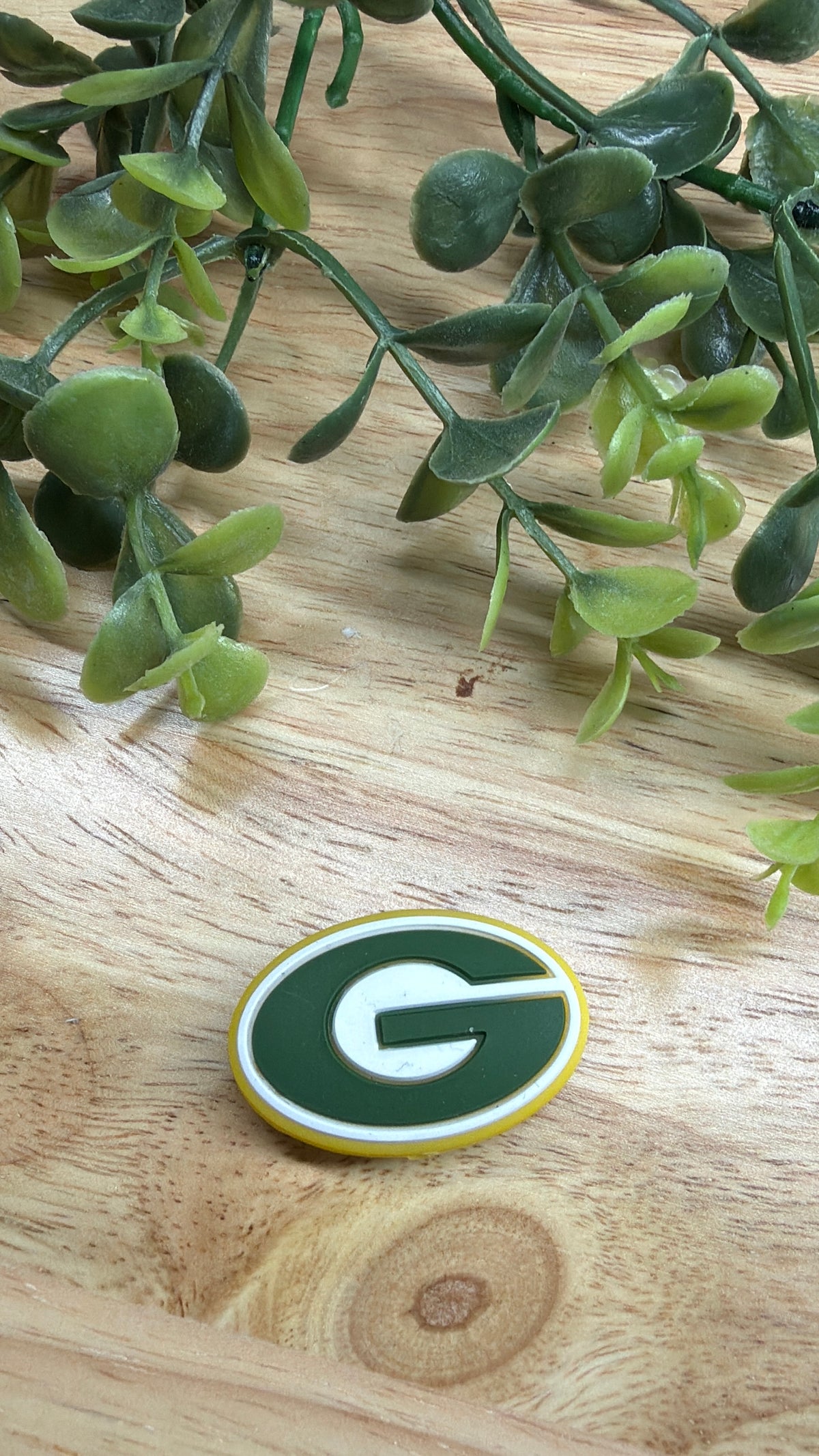 FOOTBALL  GREENBAY PACKERS FOCALS