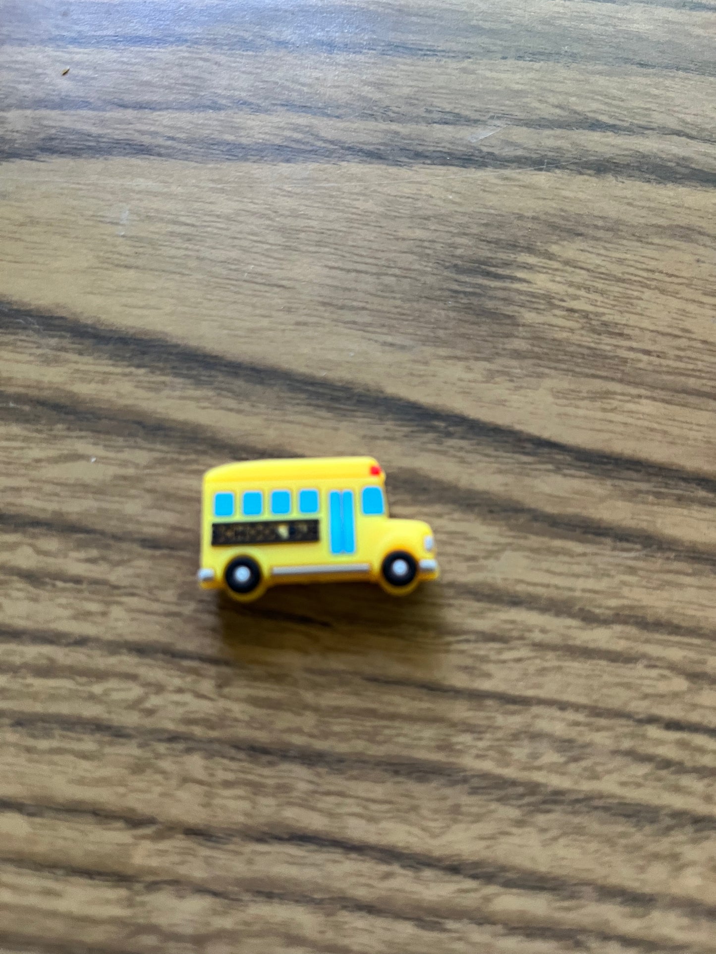SCHOOL BUS