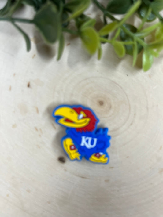 COLLEGE KANSAS FOCAL