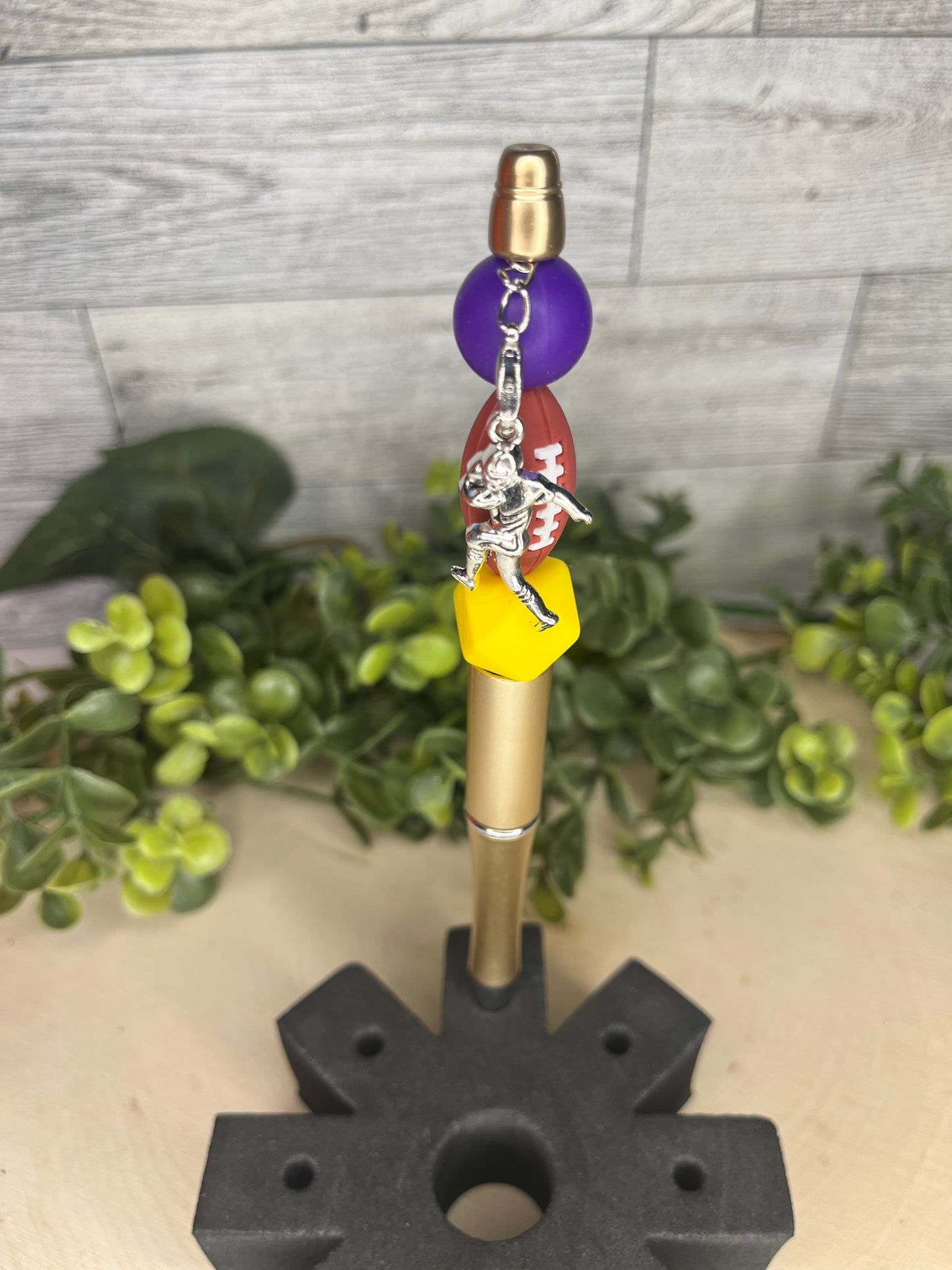 Wolverines Football Pen