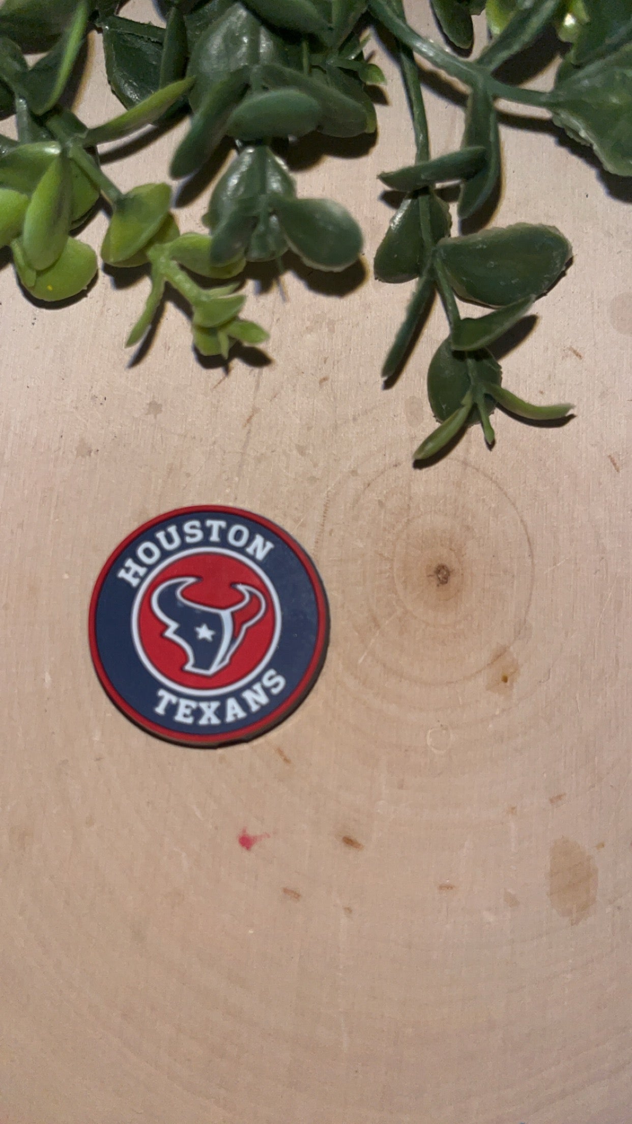 FOOTBALL HOUSTON TEXANS FOCAL